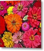 Flowers Metal Print