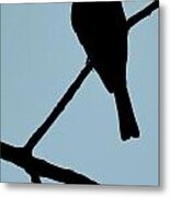 Flycatcher With Bug Metal Print