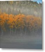 Foggy Autumn Morning Metal Print