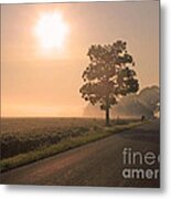 Foggy Sunrise On Soybean Field Metal Print