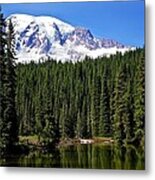 Forest Reflections Metal Print