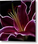 Fractal Lily Petals Metal Print