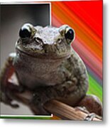 Frog Metal Print