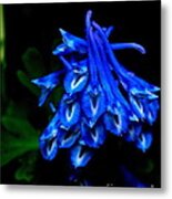 Garden Jewel Metal Print