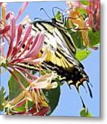 Gathering Nectar 2 Metal Print