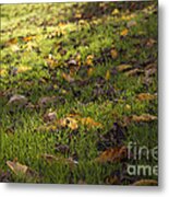 Glowing Autumn Day Metal Print