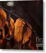 Golden Leaves Metal Print