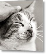 Good Kitty Metal Print