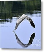 Graceful Heron Metal Print