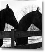 Gracie And Cora Metal Print