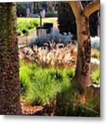 Grasses And Thorny Bark Metal Print