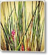 Grasses Metal Print