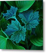 Green On Green Metal Print