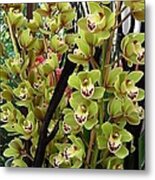 Green Orchid Metal Print