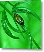 Green Metal Print