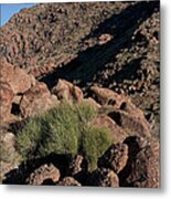 Green Tuft In Sandstone Metal Print