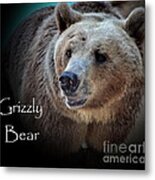 Grizzly Bear Metal Print