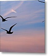 Gulls At Dusk Metal Print