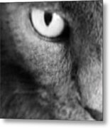 Half Cat Metal Print