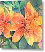 Hardy Lilies Metal Print