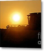 Harvest Gold Metal Print