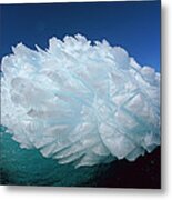 Hedgehog Iceberg, Terre Adelie Land Metal Print