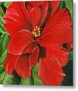 Hibiscus Metal Print