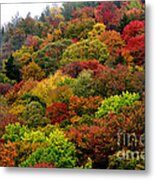 Hillside Canvas Fall Color Metal Print
