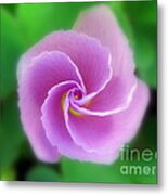 Honesty Photography Metal Print