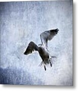Hovering Seagull Metal Print