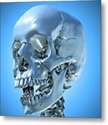 Human Skull, Artwork Metal Print