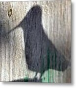 Hummingbird Shadow Silhouette Metal Print