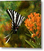 Hungry Little Butterfly Metal Print
