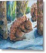 Hungry Red Squirrels Metal Print