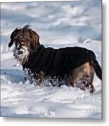 I Love Snow Metal Print