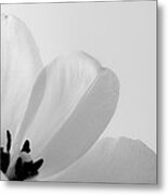 Idem Metal Print