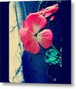 If You Don't Like Flowers Metal Print
