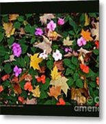 Impatiens And Autumn Leaves Metal Print