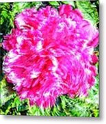 Impressionistic  Peony Metal Print