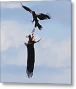 In Flight Fight Metal Print