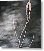 In Mourning Metal Print