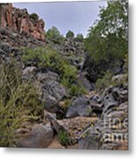 In The Arroyo Metal Print