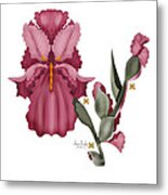 Iris Iii Metal Print