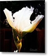 Iris In Bloom. #iris #inbloom #bloom Metal Print