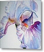 Iris In The Garden Metal Print