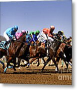 Jockeying For Position Metal Print