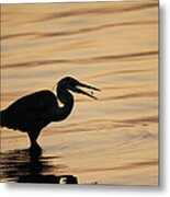 Just A Little Snack For Breakfast Metal Print