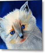 Kitten In Blue Metal Print
