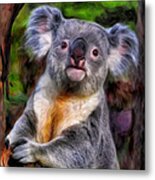 Koala Metal Print