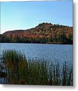 Late Fall On Lake Lila Metal Print